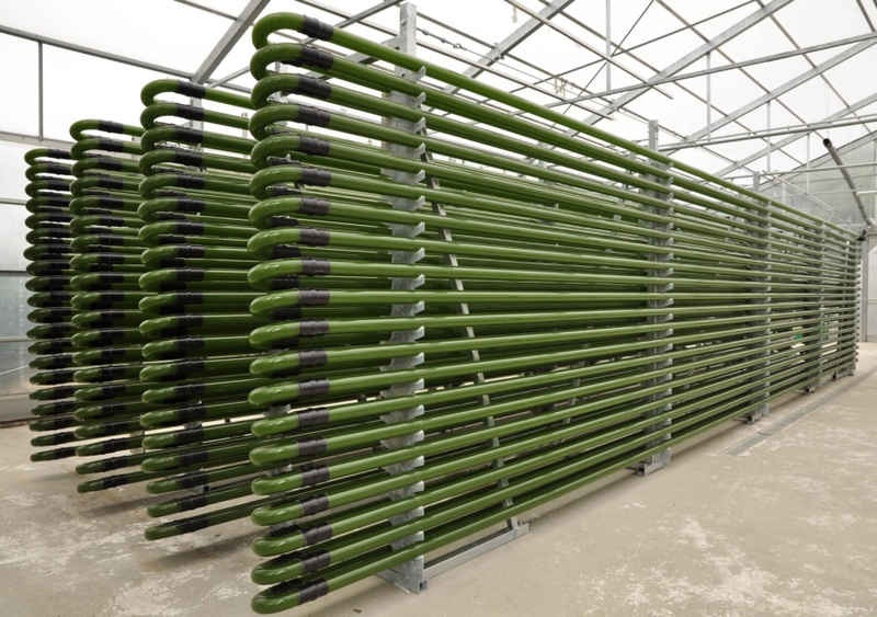 Illustration for article titled How Vertical Farming is Revolutionizing the Way We Grow Food